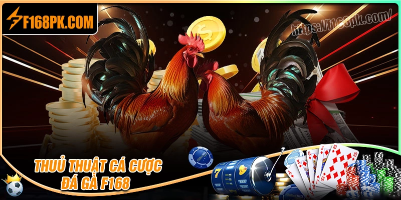 Kinh nghiệm chơi đá gà F168 luôn thắng từ cao thủ