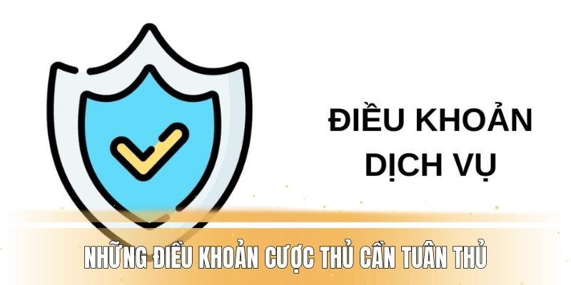 Những điều khoản cược thủ cần tuân thủ khi trở thành hội viên